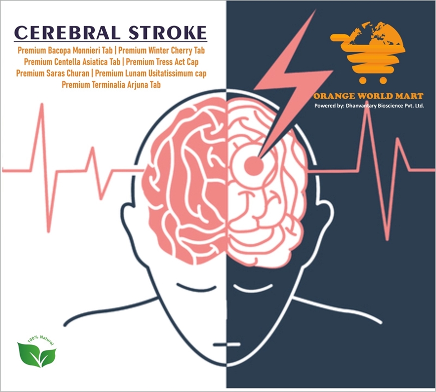 Picture of CEREBRAL STROKE KIT