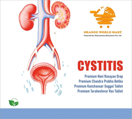 Picture of CYSTITIS KIT