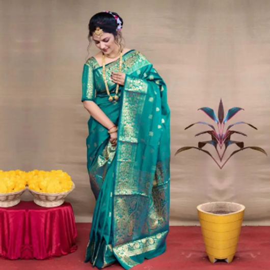 NEW TRADITIONAL SAREE