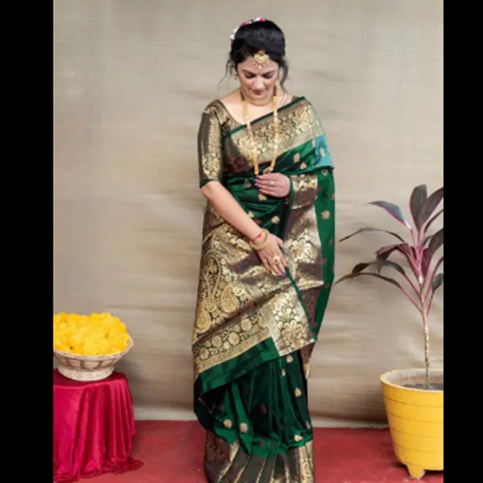 NEW TRADITIONAL SAREE