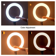 LED Circle Lights with Phone Holder for Selfie Camera Photography