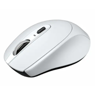 Portronics Toad 31 Wireless Mouse with 2.4 GHz Connectivit